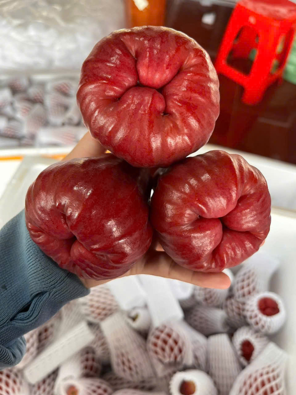 mận