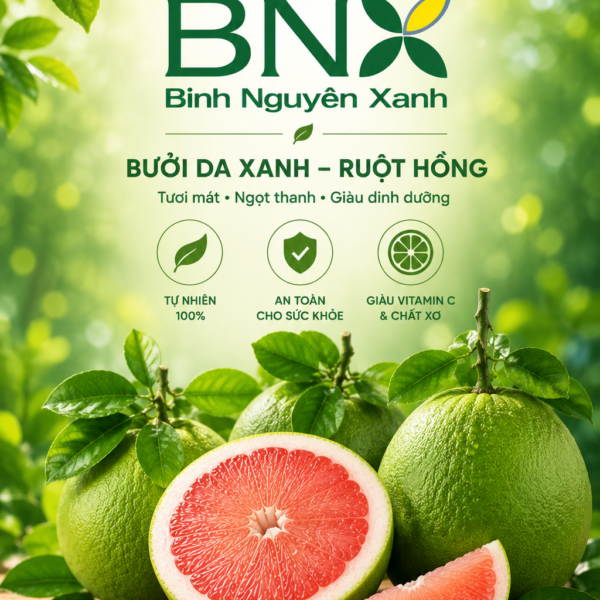 Bưởi Da Xanh Miền Tây