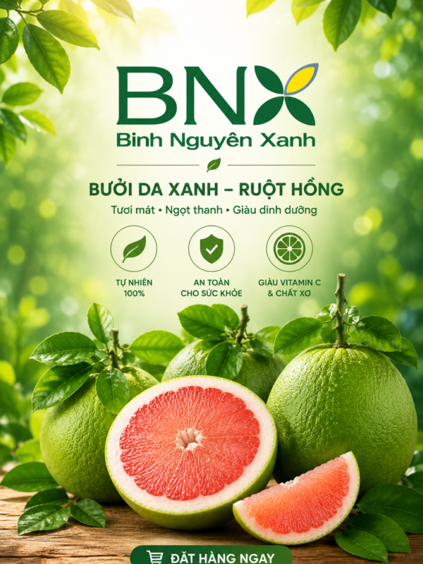 Bưởi Da Xanh Miền Tây