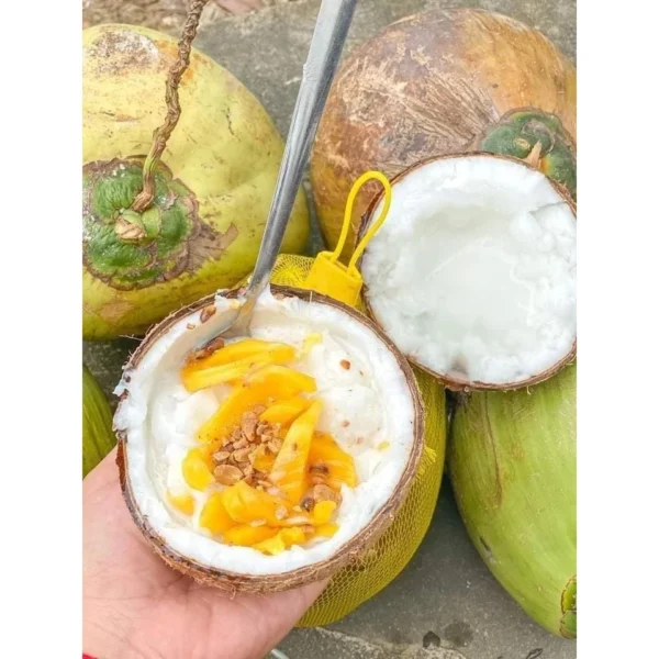 Dừa sáp Cầu Kè
