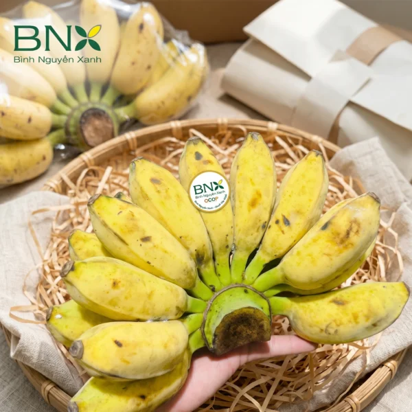 chuối sáp nghệ trà vinh vàng ươm