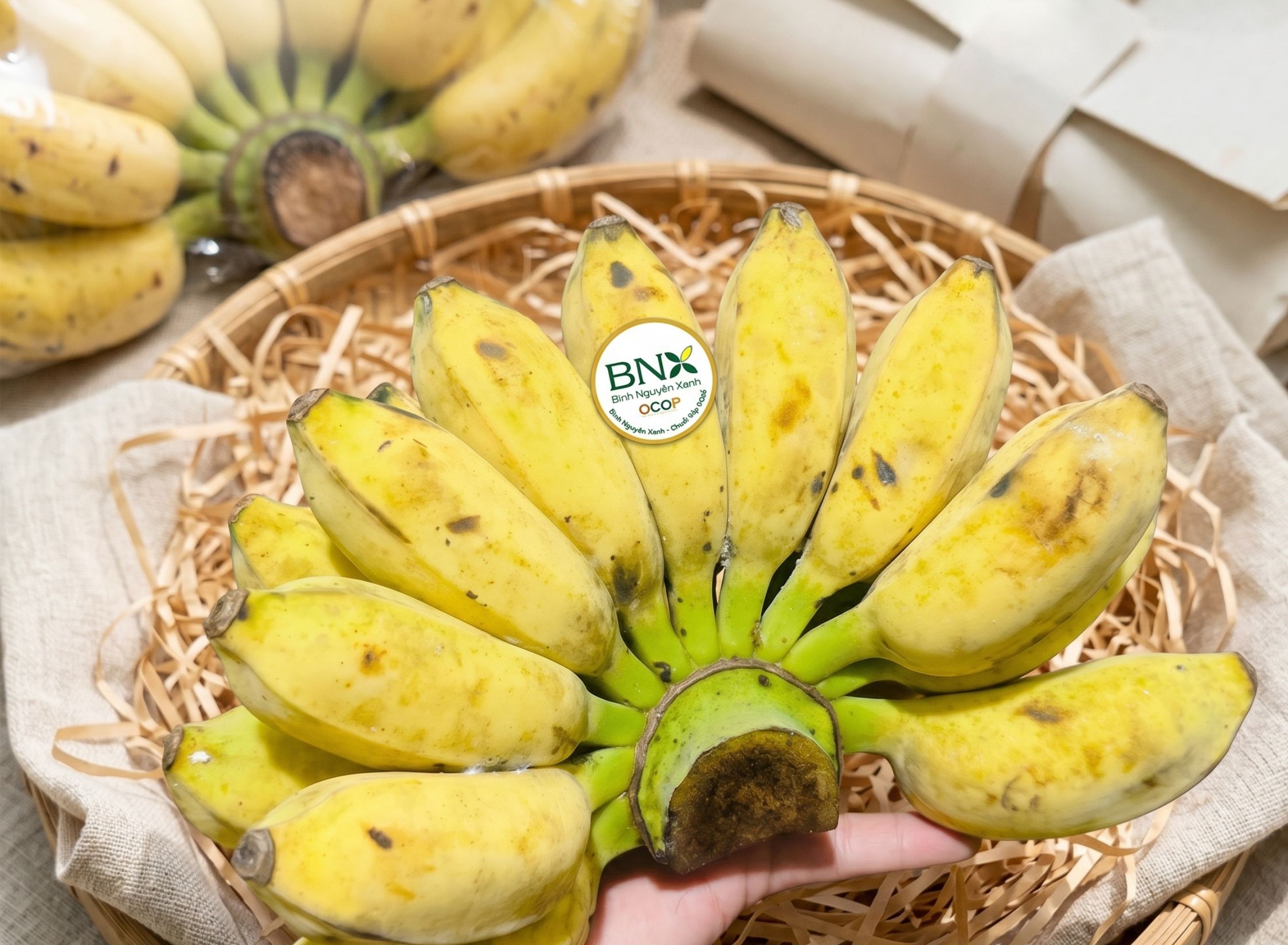 chuối sáp trà vinh