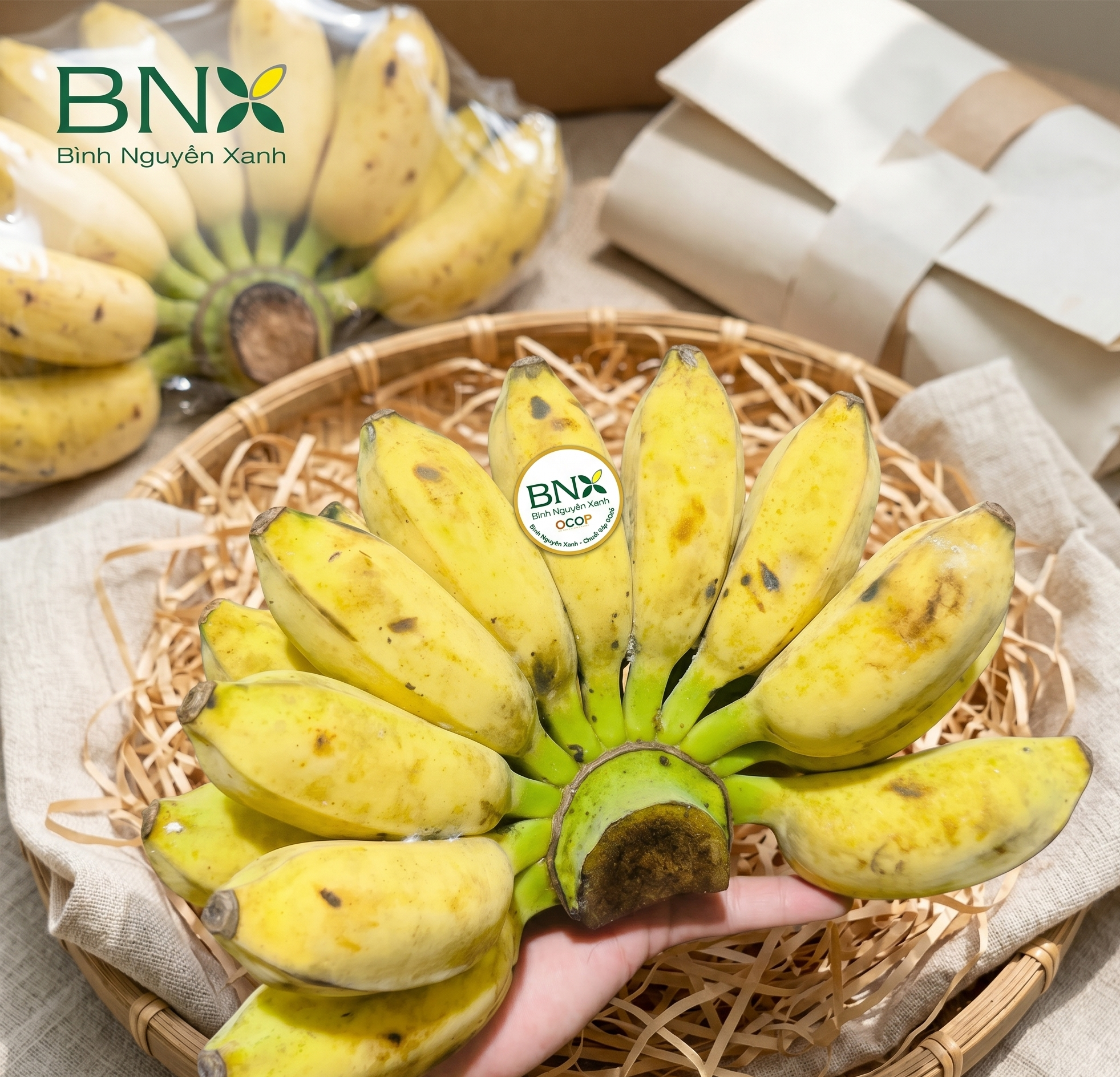 chuối sáp nghệ trà vinh vàng ươm