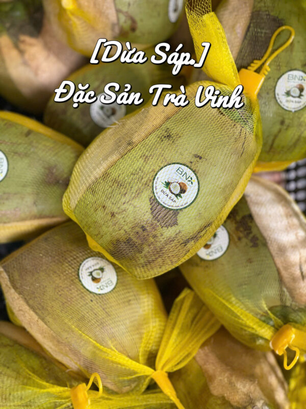 Dừa sáp Cầu Kè