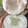 Dừa sáp Cầu Kè