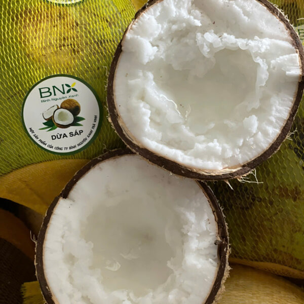 dừa sáp đóng gói có tem dừa sáp cầu kè trà vinh