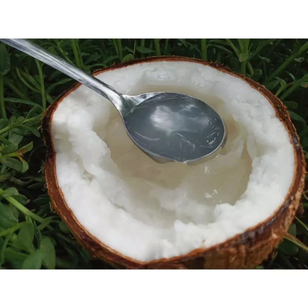 Dừa sáp Cầu Kè