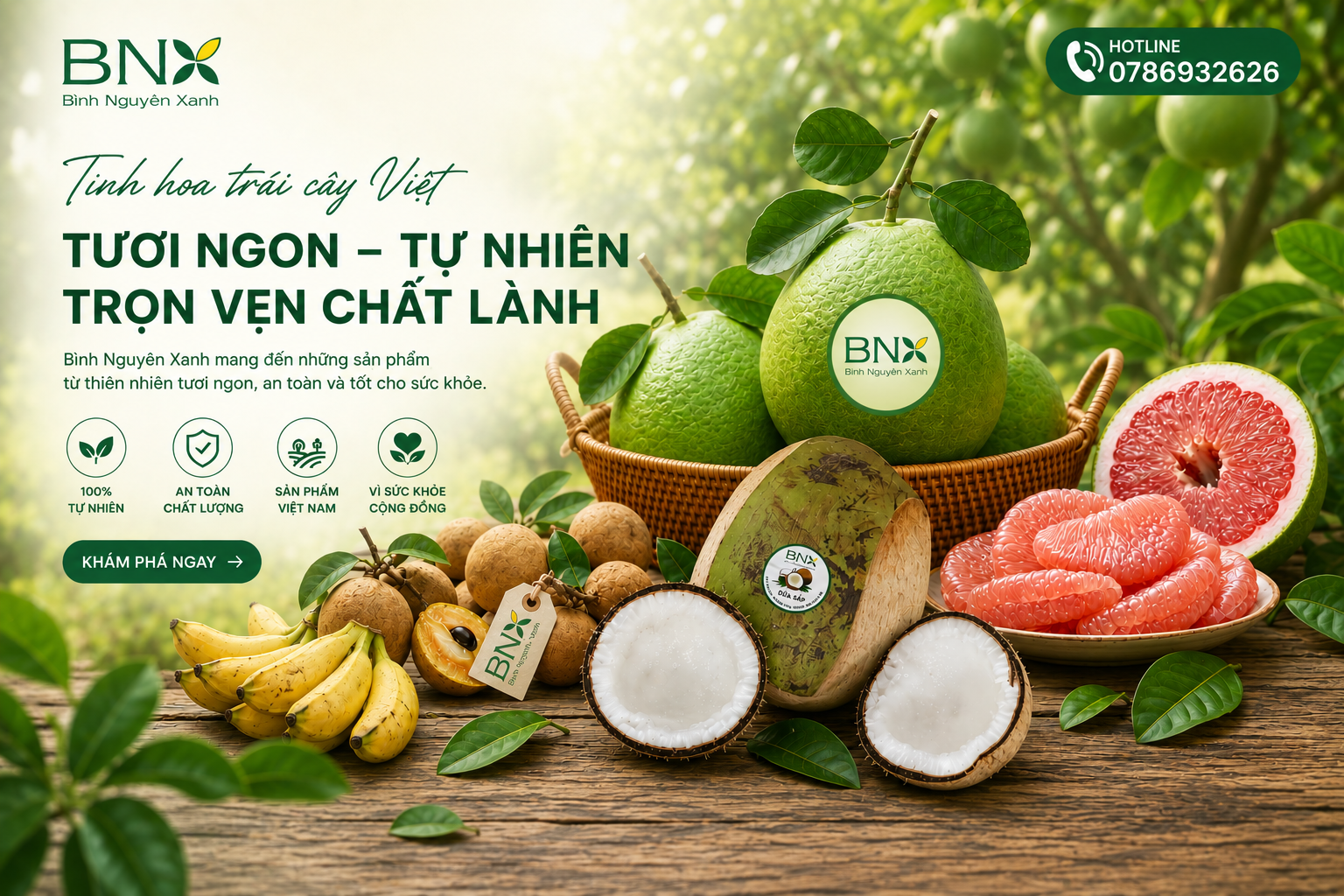 dừa sáp trà vinh