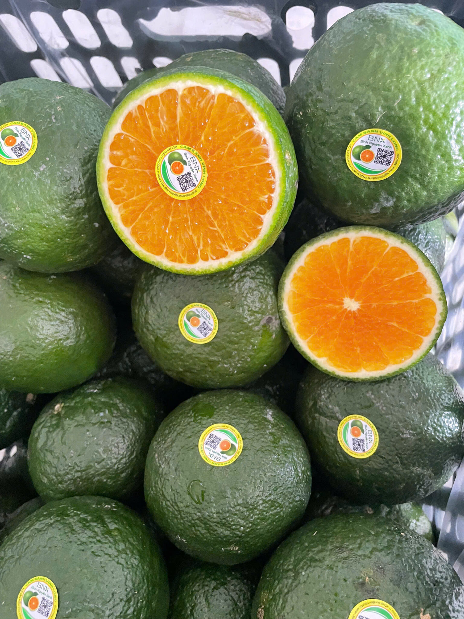 Cam sành Vĩnh Long