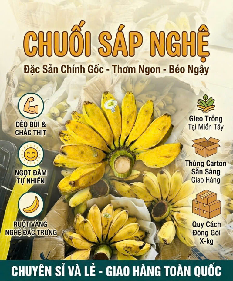 chuối sáp nghệ Trà Vinh
