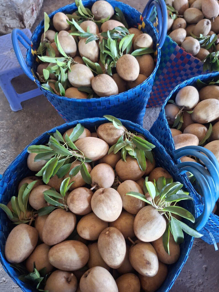 Hồng xiêm Tiền Giang