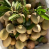 Hồng xiêm Bình Nguyên Xanh