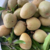 Hồng Xiêm (Saboche) Tiền Giang