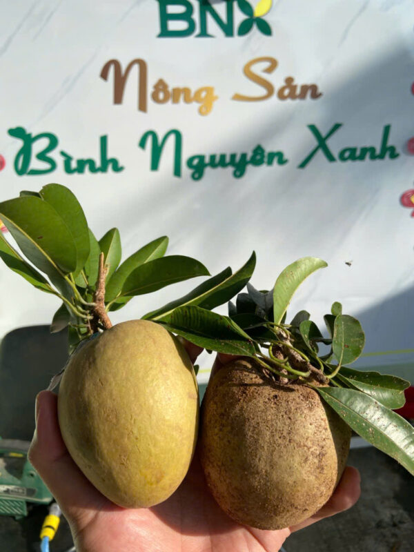 Hồng xiêm Tiền Giang