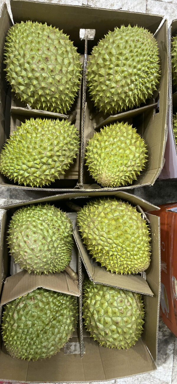 Sầu Riêng Ri6 Miền Tây Hàng loại 1