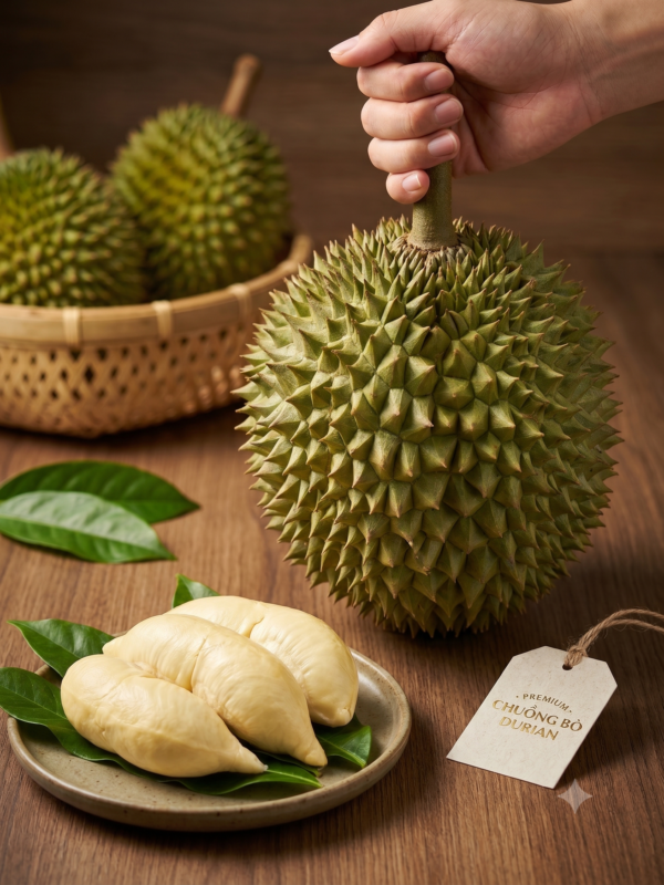 Sầu riêng chuồng bò