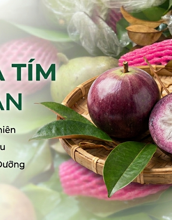 Vú sữa tím