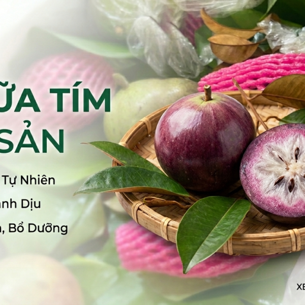 Vú sữa tím