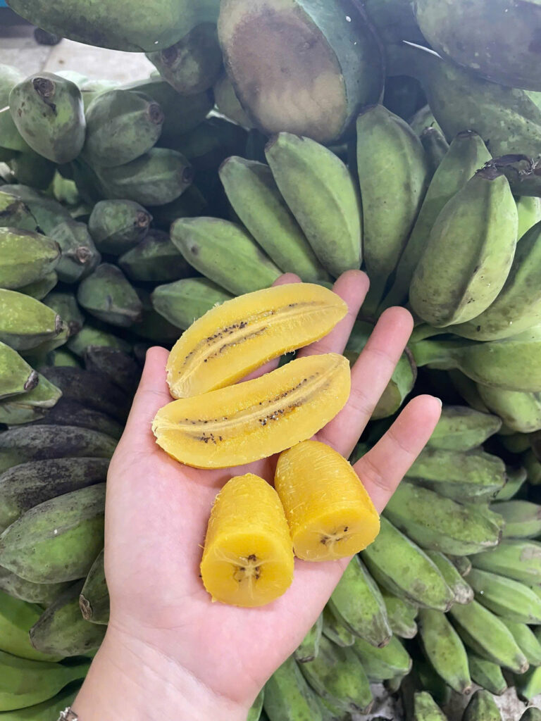 Chuối sáp nghệ hàng rời
