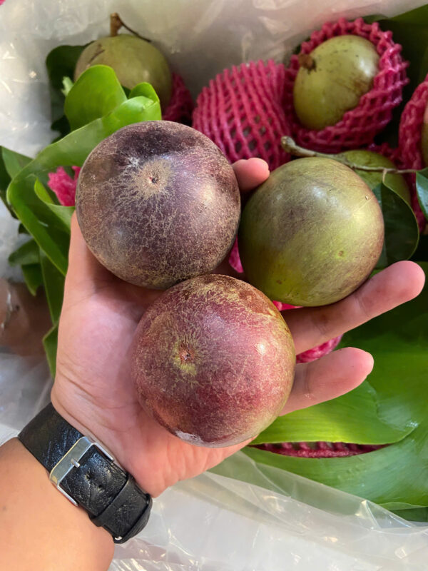 Vú Sữa Tím