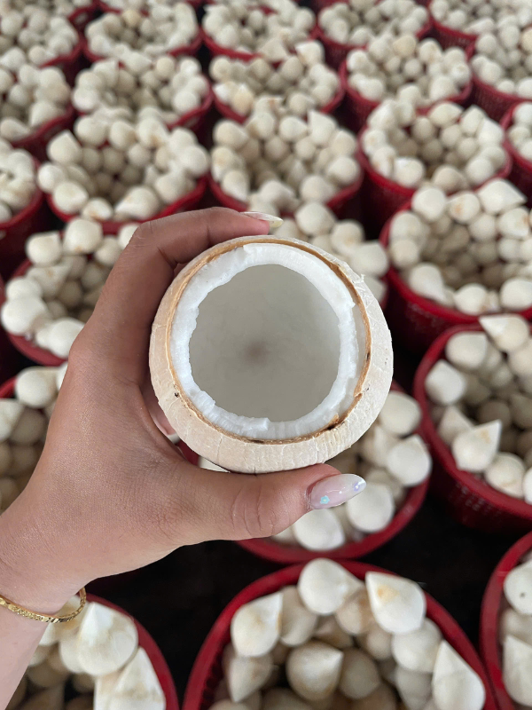 dừa trọc