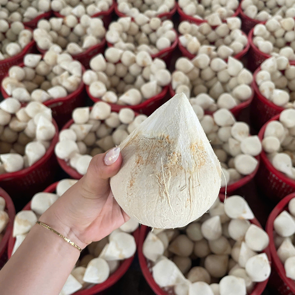 dừa trọc