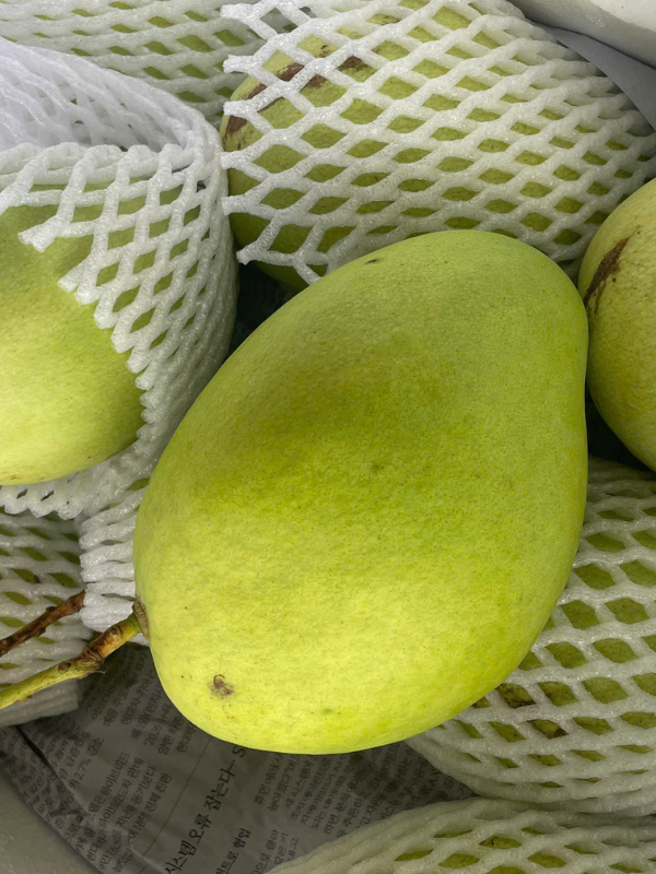 Xoài Tứ Quý
