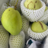 Xoài Tứ Quý