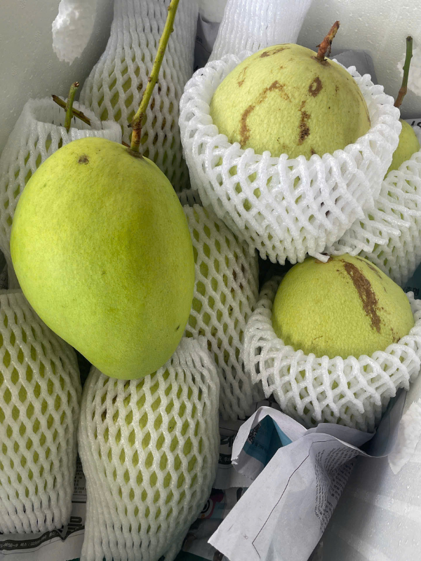 Xoài Tứ Quý