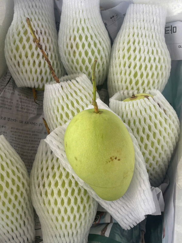 Xoài Tứ Quý