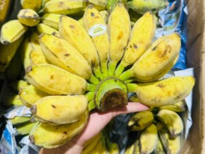 chuối sáp nghệ Trà Vinh thương hiệu Bình Nguyên Xanh