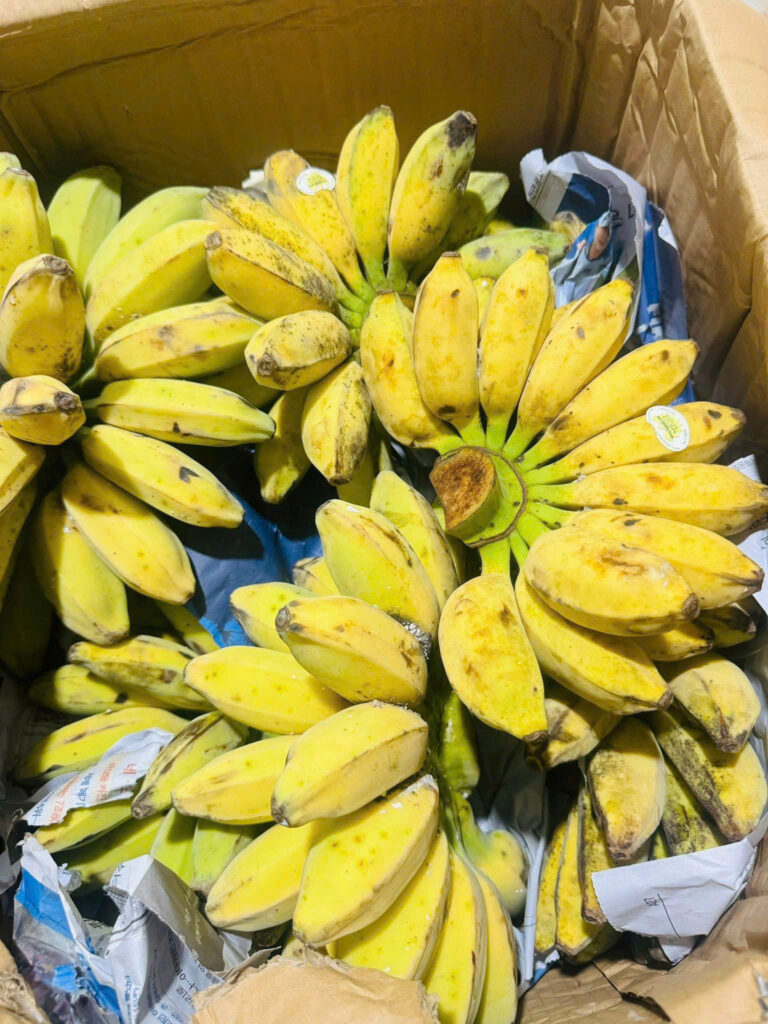 Chuối sáp xẻ nải