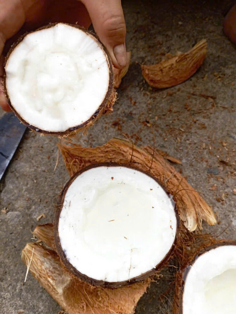 Dừa sáp